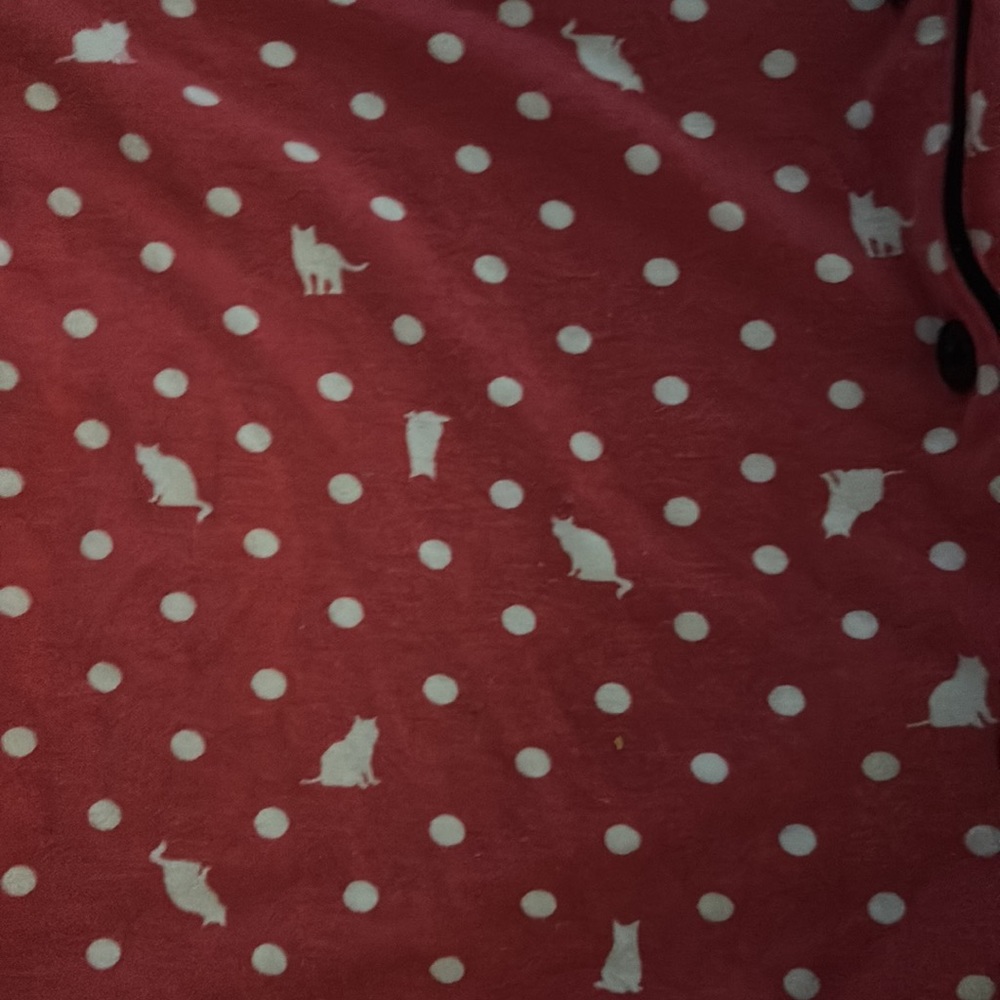 Pjs ! - Picture 4 of 5